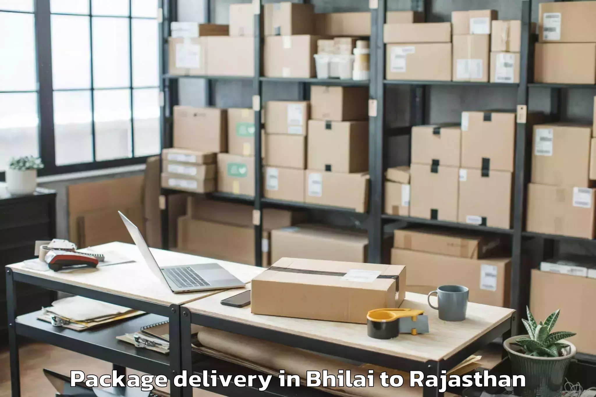 Hassle-Free Bhilai to Malsisar Package Delivery